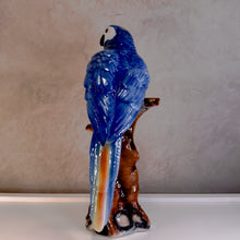 Carregar imagem no visualizador da galeria, Escultura Arara Em Porcelana Capodimonte – Pç