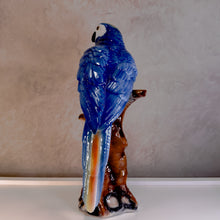 Carregar imagem no visualizador da galeria, Escultura Arara Em Porcelana Capodimonte – Pç
