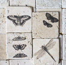 Carregar imagem no visualizador da galeria, Adorno Em Pedra Natural Travertino Anticato Borboletas lll - Kit