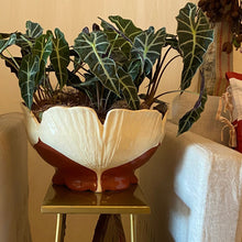 Carregar imagem no visualizador da galeria, Cachepô Em Cerâmica Ginckgo Biloba Zanatta Casa - Pç