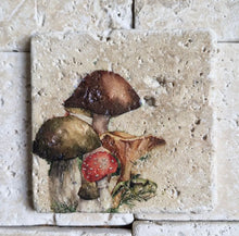 Carregar imagem no visualizador da galeria, Adorno Em Pedra Natural Travertino Anticato Mush ll - Kit