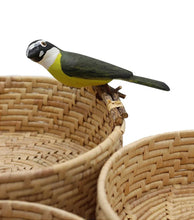 Carregar imagem no visualizador da galeria, Cesto Em Carnaúba Redondo Pássaro I Casa Bonita - Kit