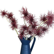 Carregar imagem no visualizador da galeria, Haste Permanente Flor De Protea Brilhance - Pç
