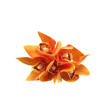 Carregar imagem no visualizador da galeria, Haste Permanente Flor Orquídea Alaranjado Brilhance - Pç
