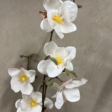 Carregar imagem no visualizador da galeria, Haste Permanente Flor De Magnólia Toque Real - Pç