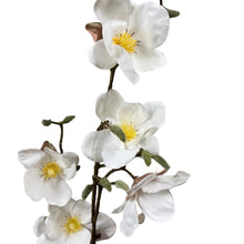 Carregar imagem no visualizador da galeria, Haste Permanente Flor De Magnólia Toque Real - Pç