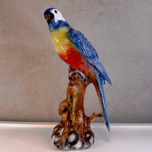 Carregar imagem no visualizador da galeria, Escultura Arara Em Porcelana Capodimonte – Pç
