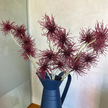 Carregar imagem no visualizador da galeria, Haste Permanente Flor De Protea Brilhance - Pç

