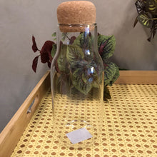 Carregar imagem no visualizador da galeria, Garrafa Em Vidro Lisa Com Tampa 600ml Home Design - Un
