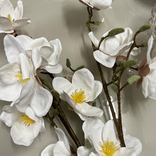Carregar imagem no visualizador da galeria, Haste Flor De Magnólia Branca Com Semente Toque Real - Unidade
