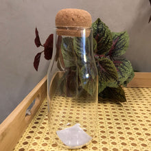 Carregar imagem no visualizador da galeria, Garrafa Em Vidro Lisa Com Tampa 300ml Home Design - Un

