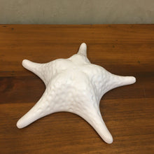 Carregar imagem no visualizador da galeria, Conchas E Estrela Do Mar Em Cerâmica Luiz Salvador - Unidade
